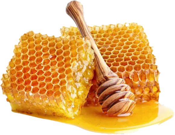 Make America Slim Again ingredient image