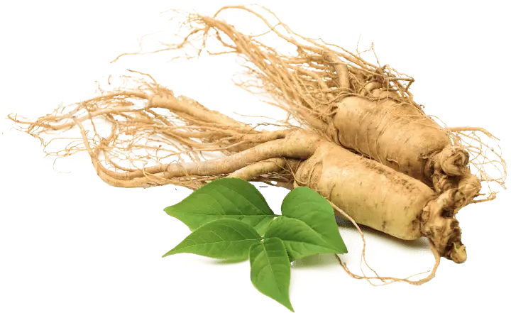 Make America Slim Again ingredient image